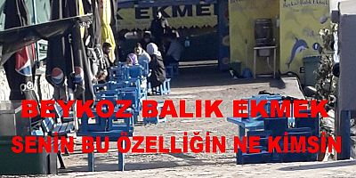 Bu rahatlığı bu cesareti bu vurdum  duymazlığı kimden cesaret alıyorsun kimler sana göz yumuyor 