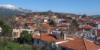 Bu zamana kadar tek vaka dahi görülmedi! İşte kırmızı şehrin mavi köyü Hacıarslanlar'ın başarı sırrı