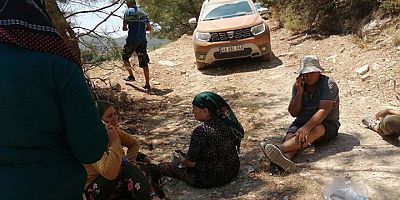 Buna fırsatçılık denir ağaç kıyımı