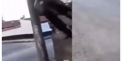 Bunun adı vahşet! Görüntüleri sosyal medyada paylaştı