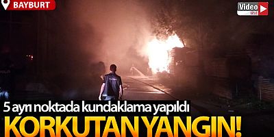Bursa'da 5 ayrı noktada çıkan yangın korkuttu