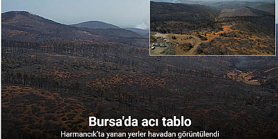 Bursa’da acı tablo: Harmancık’ta yanan yerler havadan görüntülendi