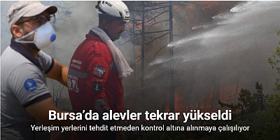 Bursa’da alevler tekrar yükseldi