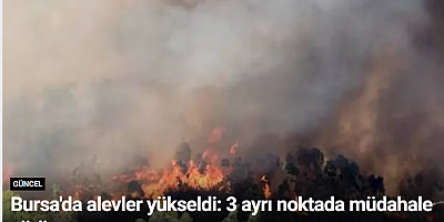 Bursa'da alevler yükseldi: 3 ayrı noktada müdahale sürüyor