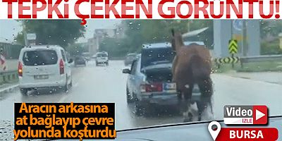 Bursa'da aracın arkasına at bağlayıp çevre yolunda koşturdu