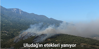 Bursa’da aynı anda 3 noktada yangın...Uludağ’ın etekleri yanıyor