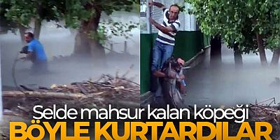 Bursa'da selde mahsur kalan köpeği ekipler kurtardı