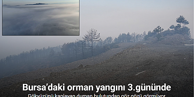 Bursa’daki orman yangını 3.gününde...