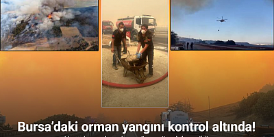 Bursa’daki orman yangını kontrol altına alındı