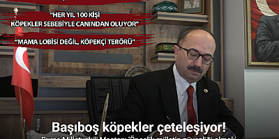 Bursa Milletvekili Mesten: 'Öncelik milletin güvenliği olmalı'