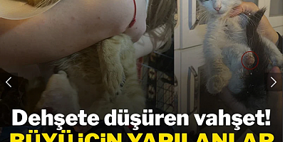 Büyü için yapılanlar adeta kan dondurdu