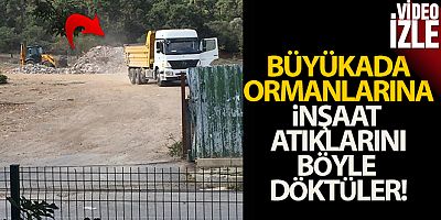 Büyükada'da inşaat atıklarını ormanlık alana döktüler