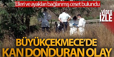 Büyükçekmece'de kan donduran olay
