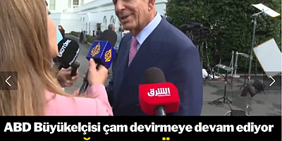 Çam devirmeye devam ediyor... ABD Büyükelçisi'nin Orta Doğu için söyledikleri yenilir yutulur gibi değil