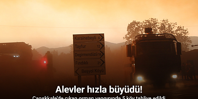 Çanakkale’de çıkan orman yangınında 5 köy tahliye edildi