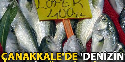 Çanakkale'de 'denizin prensi' lüferin kilosu tezgahta 400 TL