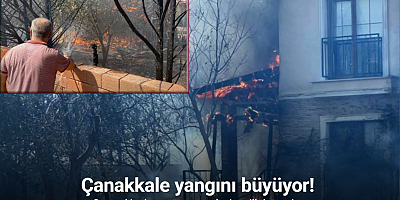 Çanakkale’de ormanlık alana sıçrayan yangında villalar yandı