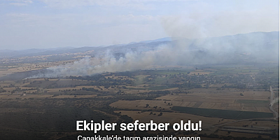 Çanakkale’de tarım arazisinde yangın