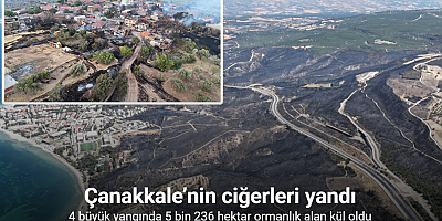 Çanakkale’de yaşanan 4 büyük yangında 5 bin 236 hektar ormanlık alan yandı