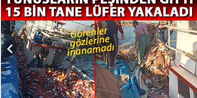 Çanakkaleli balıkçı, 15 bin tane lüfer yakaladı