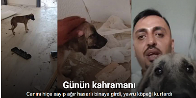 Canını hiçe sayıp ağır hasarlı binaya giren vatandaşın, yıkım öncesi yavru köpeği kurtardığı anlar kamerada