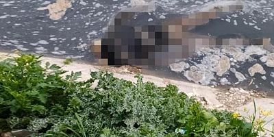 SON DAKİKA Cansız beden bulundu su kanalında bir erkeğe ait 