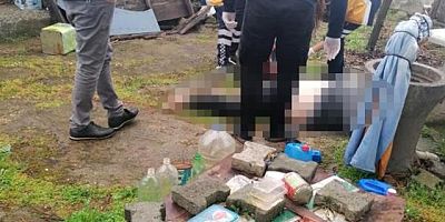 Cansız bedenini temizlikçilerin bulduğu adamın ayaklarını köpekler yemiş