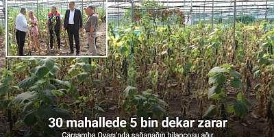 Çarşamba Ovası’nda sağanağın bilançosu ağır: 30 mahallede 5 bin dekar zarar