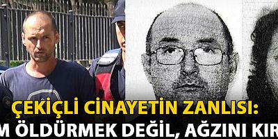 Çekiçli cinayetin zanlısı: Amacım öldürmek değil, ağzını kırmaktı