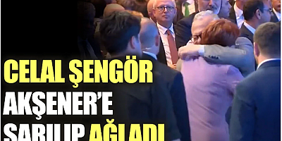 Celal Şengör Meral Akşener'e sarılıp ağladı