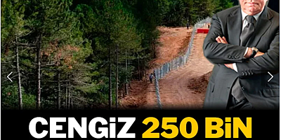 Cengiz 250 bin ağaç daha kesecek