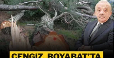 Cengiz, çevre katliamlarına devam edecek