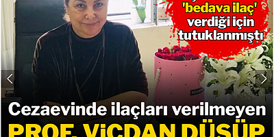 Cezaevinde ilaçları verilmeyen Prof. Vicdan düşüp kalp krizi geçirdi