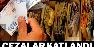 Cezalar katlandı tahsilat aynı kaldı