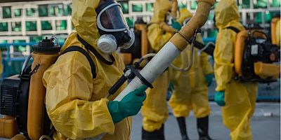 Chikungunya virüsü hızla yayılıyor! 16 ülkede 240 binden fazla vaka, 90 ölü