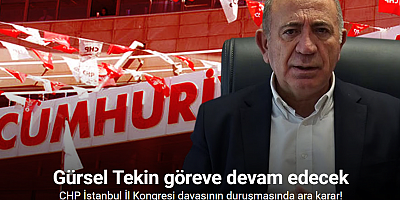 CHP İstanbul İl Kongresi davasının duruşmasında ara karar: Gürsel Tekin göreve devam edecek