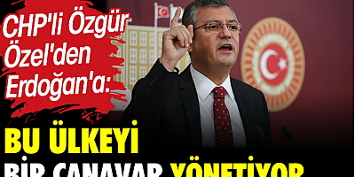 CHP'li Özgür Özel'den Erdoğan'a: Bu ülkeyi bir canavar yönetiyor