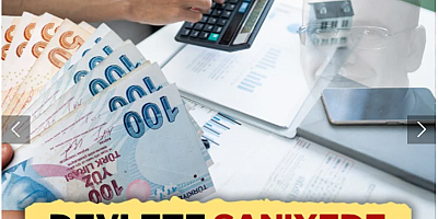 CHP'li vekil oranları tek tek açıkladı: Vatandaş saniyede 328 bin 763 TL vergi ödedi