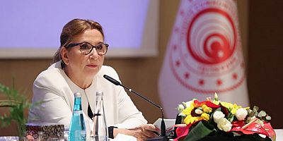 CHP, Ruhsar Pekcan hakkında meclis soruşturma önergesi hazırladı