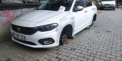 Çiçek Abbas filmi gerçek oldu