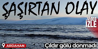 Çıldır gölünde şaşırtan durum: Göl donmadı