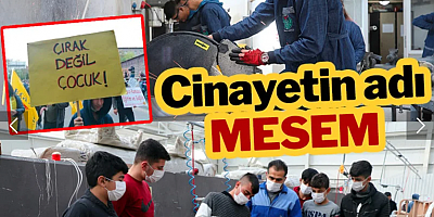 Cinayetin adı MESEM