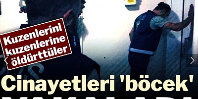 Cinayetleri 'böcek' yakaladı: Kuzenlerini kuzenlerine öldürttüler