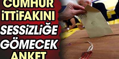 Cumhur İttifakı'nı sessizliğe gömecek anket 