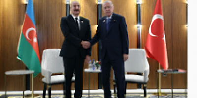 Cumhurbaşkanı Erdoğan, Aliyev ile görüştü