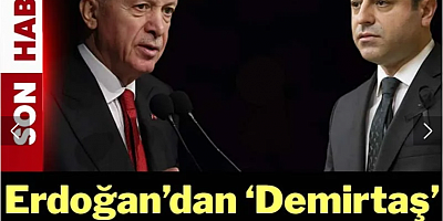 Cumhurbaşkanı Erdoğan'dan 'Demirtaş 'açıklaması