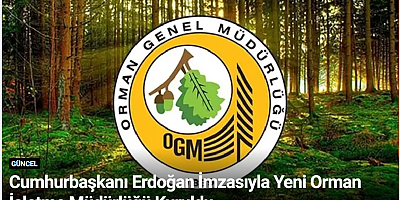 Cumhurbaşkanı Erdoğan İmzasıyla Yeni Orman İşletme Müdürlüğü Kuruldu