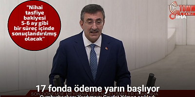 Cumhurbaşkanı Yardımcısı Yılmaz: 