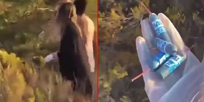 Datça'dan gelen görüntü sabotaj iddialarını kuvvetlendirdi! Ağaçların dibinde patlamamış torpiller bulundu