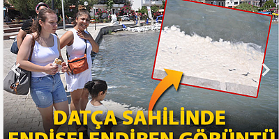 Datça sahilinde endişelendiren görüntü